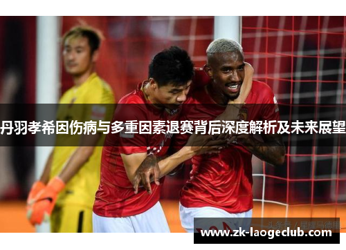 丹羽孝希因伤病与多重因素退赛背后深度解析及未来展望