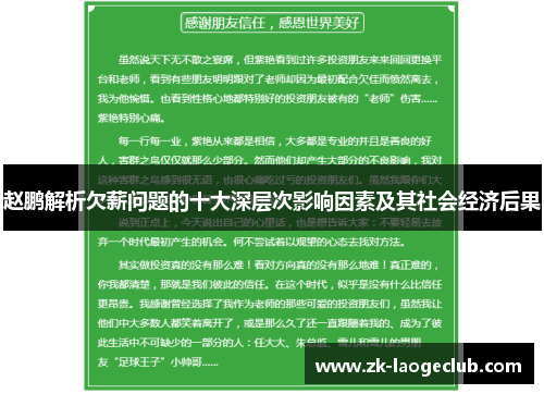 赵鹏解析欠薪问题的十大深层次影响因素及其社会经济后果