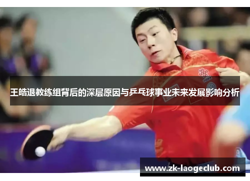 王皓退教练组背后的深层原因与乒乓球事业未来发展影响分析