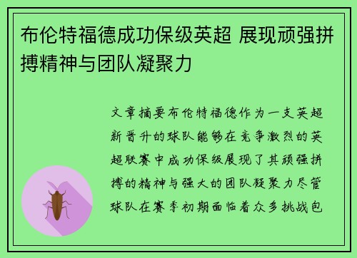 布伦特福德成功保级英超 展现顽强拼搏精神与团队凝聚力
